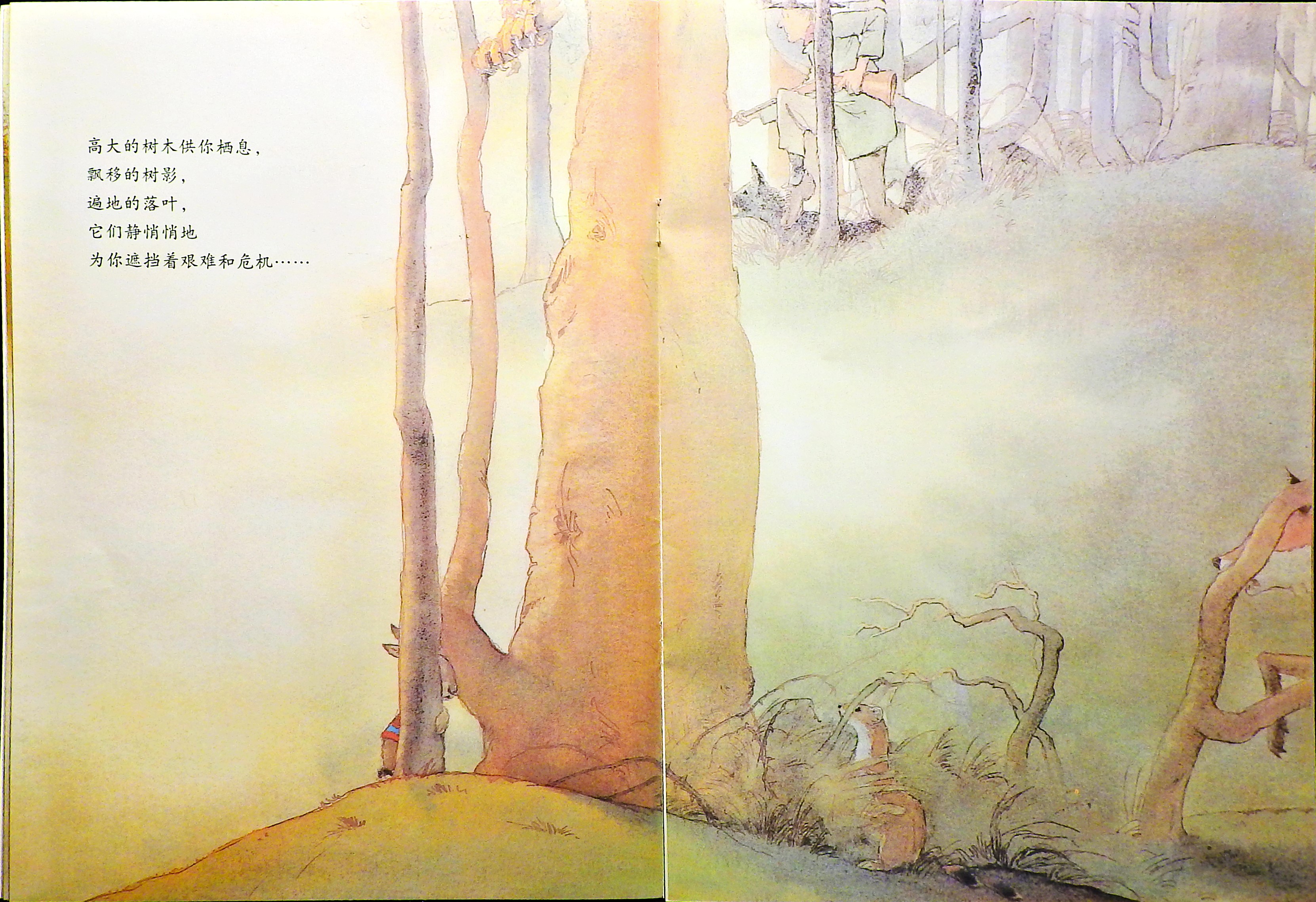 给你的祝愿 (08),绘本,绘本故事,绘本阅读,故事书,童书,图画书,课外阅读